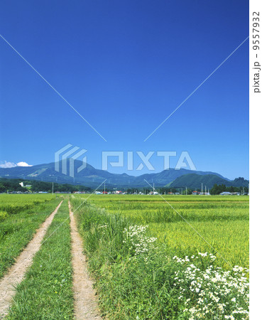 泉ヶ岳 9557932