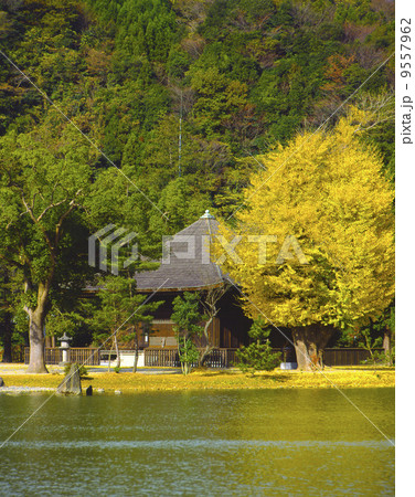 白水阿弥陀堂 白水阿弥陀堂 9557962