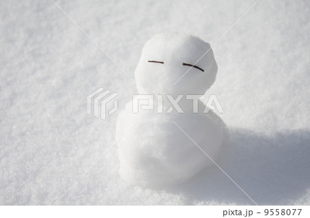 ゆきだるま 9558077