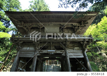 横蔵寺仁王門 9558418