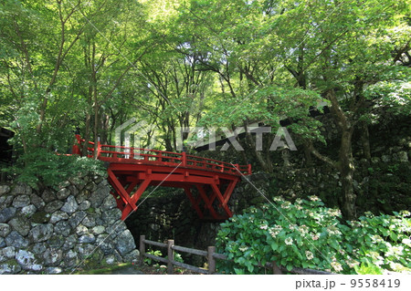 夏の横蔵寺医王橋 9558419