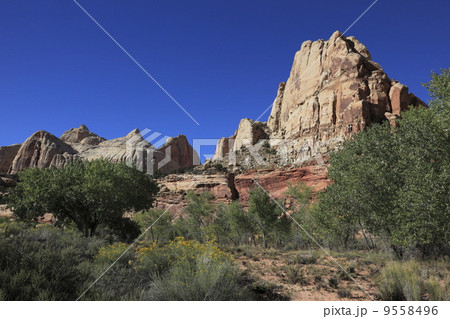 キャピトル・リーフ国立公園ナバホ・ドーム 9558496