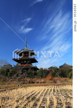 快晴の法起寺 9558567