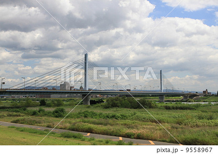 菅原城北大橋 9558967