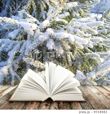Magic book Magic book 9558983