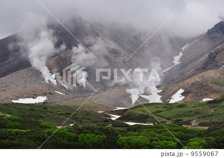 大雪山　 9559067