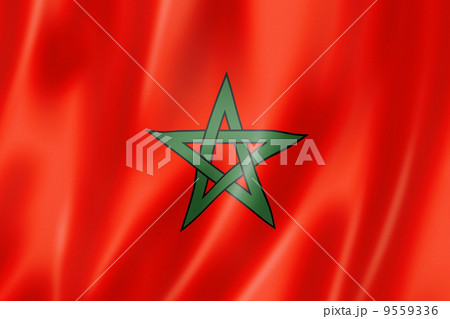 Moroccan flag 9559336