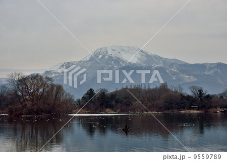 伊吹山 伊吹山 9559789