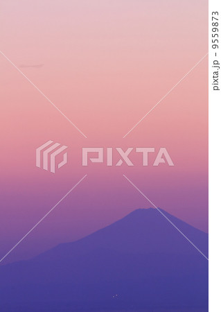 謙信平の夜景 謙信平の夜景 9559873