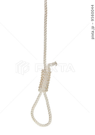 Hanging noose on a white rope 9560044