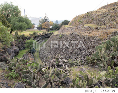 メキシコシティ　クイクイルコ遺跡 9560139