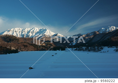 御机の朝 9560222