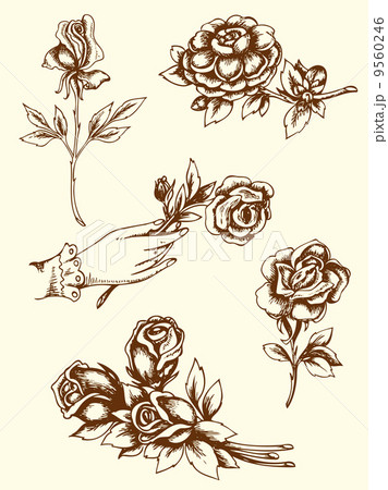 Vintage flowers Vintage flowers 9560246