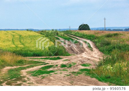 the country road the country road 9560576