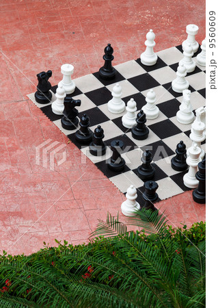 a chess great 9560609