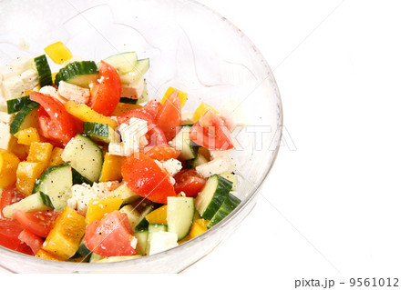 vegetable salad 9561012