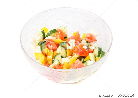 vegetable salad 9561014