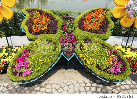 Bunch of colorful flowers in butterfly shape Bunch of colorful flowers in butterfly shape 9561362