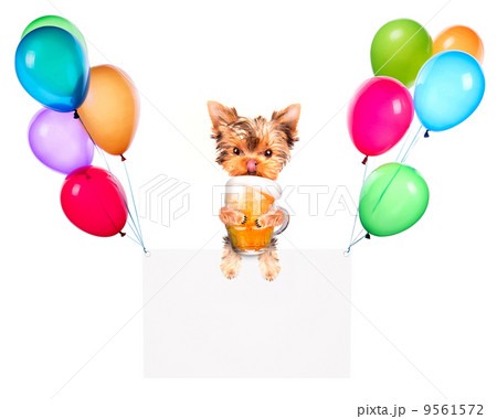 Holiday banners with balloons and dog hold beer 9561572
