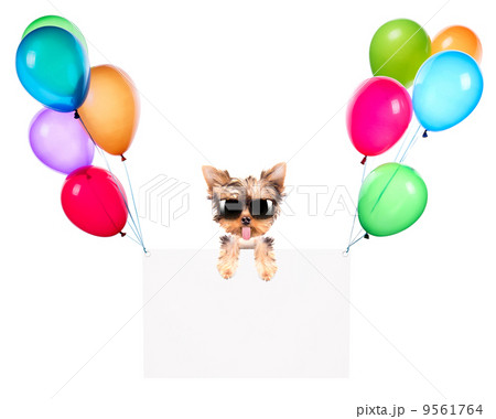 Holiday banners with balloons and dog 9561764