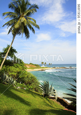 Tangalle Beach, SriLanka 9561896