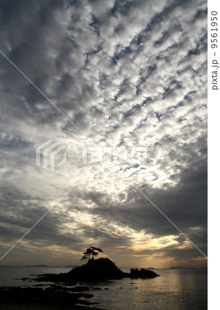 七五三ケ浦の夕日とうろこ雲 七五三ケ浦の夕日とうろこ雲 9561950