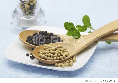 ズパイス、ペッパー、こしょう ズパイス、ペッパー、こしょう 9562043