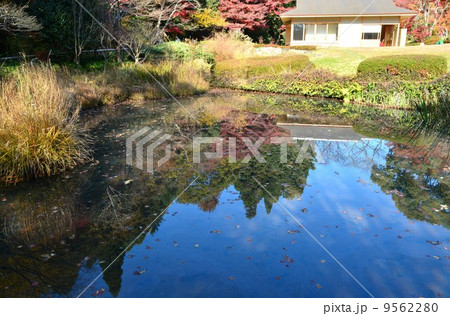 秋の東山植物園 秋の東山植物園 9562280