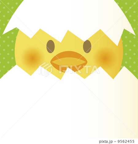 Cracked egg with a chick 9562455