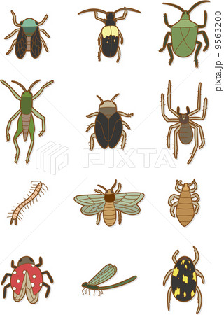 ビートル 甲虫 カブト虫のイラスト素材