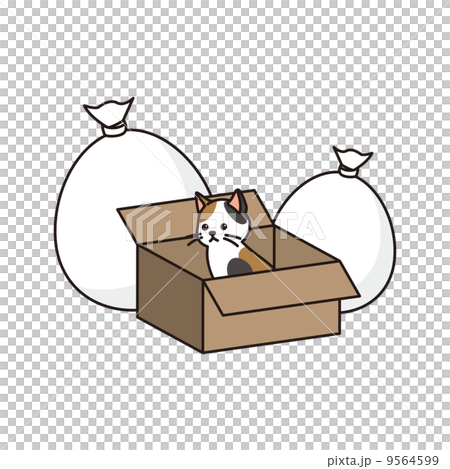 猫とゴミ 9564599