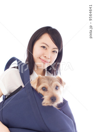 犬を連れた女性 犬を連れた女性 9564641