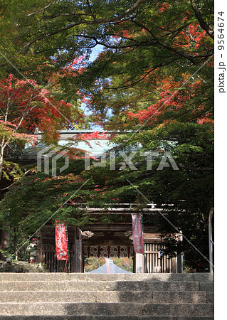 秋の四国霊場第88番札所「大窪寺」(結願所)紅葉と山門(二天門) 秋の四国霊場第88番札所「大窪寺」(結願所)紅葉と山門(二天門) 9564674