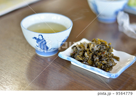 高菜 9564779
