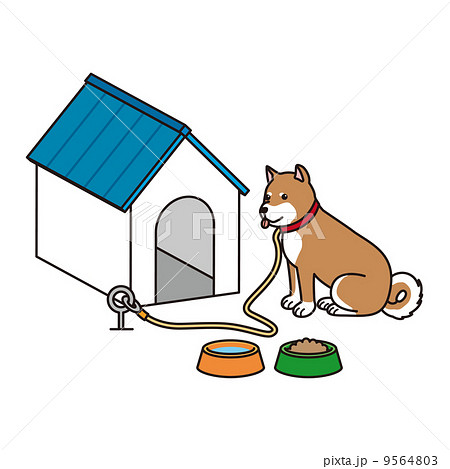柴犬と犬小屋のイラスト素材