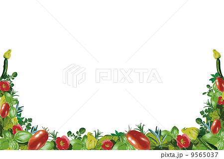 イタリアントマトとハーブのイメージ枠のイラスト素材