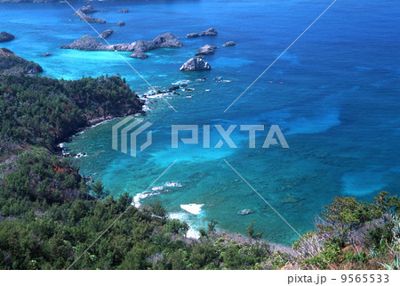 父島／海中公園 9565533