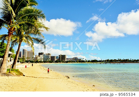 ハワイの休日 9565534