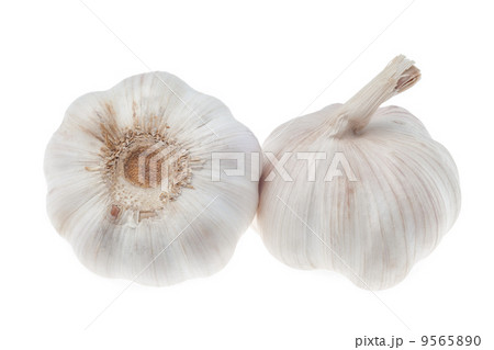 Garlic isolated 9565890