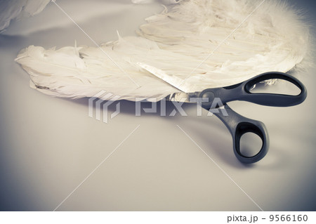 Scissors cutting angel's wing 9566160