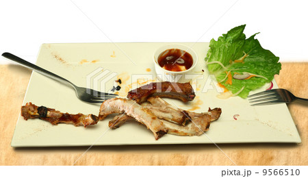 Bones of spare ribs 9566510