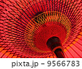 OHASHI_GALLERY_0005 OHASHI_GALLERY_0005 9566783