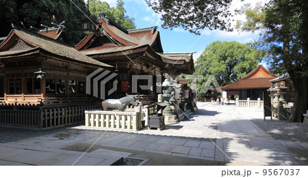 金刀比羅宮の(左から)「三穂津姫社」、「御神木」、「神札授与所・社務所」 金刀比羅宮の(左から)「三穂津姫社」、「御神木」、「神札授与所・社務所」 9567037