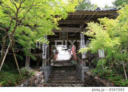 四国霊場第28番札所「（土佐）大日寺」山門 9567065