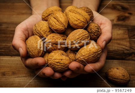Hunan hands holding handful of walnuts over wooden table 9567249