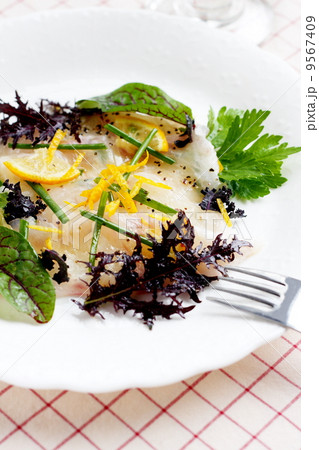 白身魚のカルパッチョ 白身魚のカルパッチョ 9567409