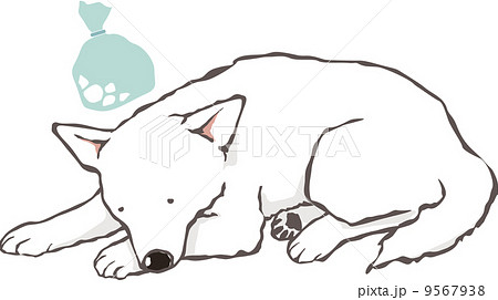 熱出して寝る白犬のイラスト素材
