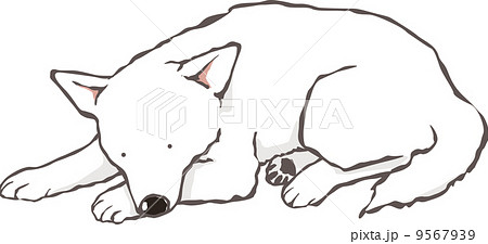 寝る白犬のイラスト素材