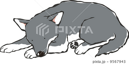 寝る黒犬のイラスト素材