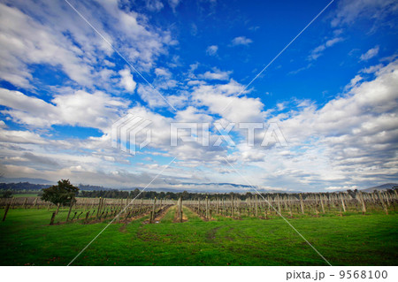 Scenery 9568100